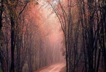 萨马尔季奇谈进球:希望加斯佩里尼能意识到自己错了.