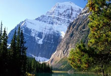 50岁丘索维金娜体操世界杯夺冠,本人发声九派新闻.