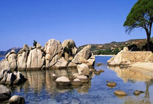 雷竞技:约基奇39+10+10 小波特23+10 大洛26+7 掘金力克残阵雄鹿.